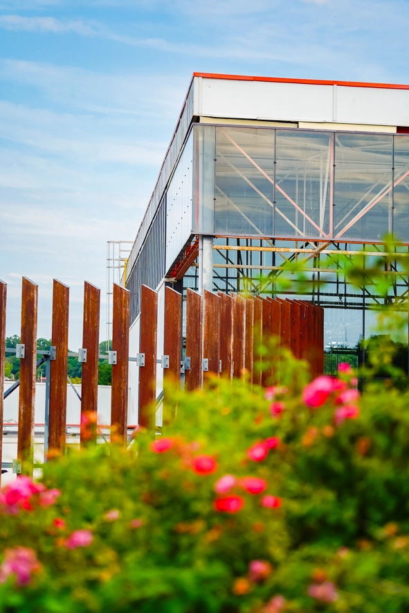 Metz BD - 2024 © INGRID MOYA-90.jpg